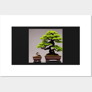 Bonsai Tree Posters and Art